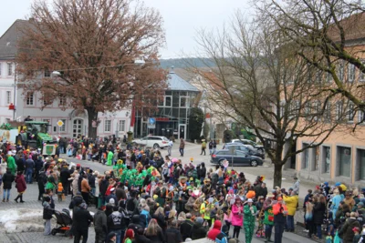 Foto des Albums: Faschingsumzug 2026