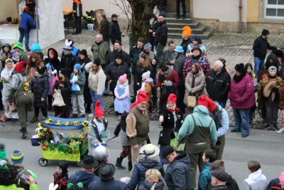 Foto des Albums: Faschingsumzug 2026