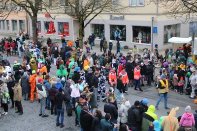 Foto des Albums: Faschingsumzug 2026