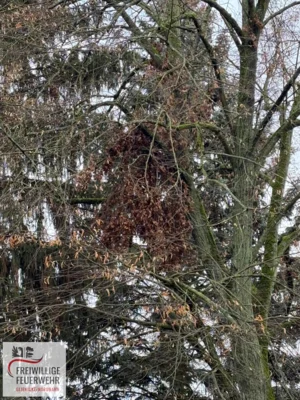 Foto des Albums: Einsatz Nr.:30/2026 H:klein