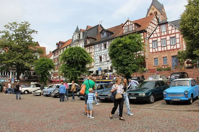 Bild der Galerie