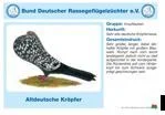 Foto des Albums: Überblick   - Rassegeflügel - Ziergeflügel
