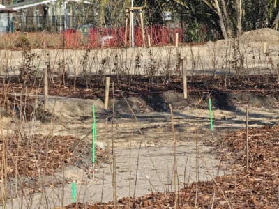 Foto des Albums: Bilder vom entstehenden Modellquartier am Külzberg (Februar 2026)  I Fotos: Rainer Leverenz