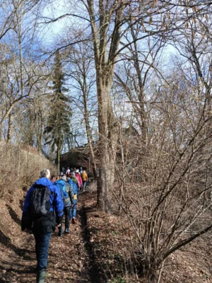 Foto des Albums: REIMAHG- Führung am Walpersberg, Februar 2026