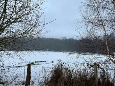 Waldstra&szlig;e mit Blick auf den Deister  (Bild vergr&ouml;&szlig;ern)