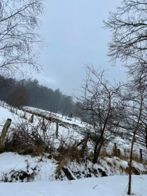 Waldstra&szlig;e mit Blick auf den Deister  (Bild vergr&ouml;&szlig;ern)