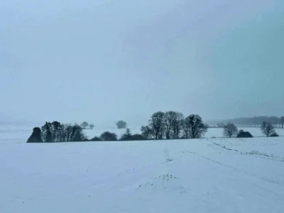 Auf dem Felde&acute;weg Richtung Debersen  (Bild vergr&ouml;&szlig;ern)