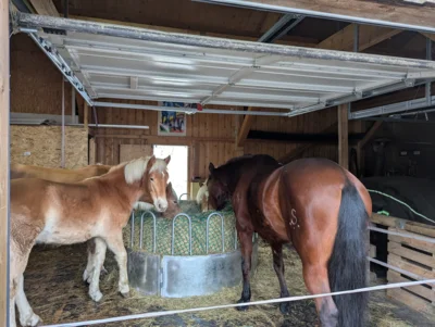 Der bestehende Stall, in dem die vier eigenen Pferde untergebracht sind, soll erweitert werden. Au&szlig;erdem ist eine Therapiehalle geplant, um k&uuml;nftig noch besser auch &bdquo;station&auml;r&ldquo; auf dem Hof arbeiten zu k&ouml;nnen.  (Bild vergr&ouml;&szlig;ern)