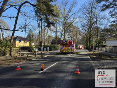 Foto des Albums: Einsatz Nr.:31/2026 H:klein