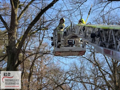 Foto des Albums: Einsatz Nr.:31/2026 H:klein