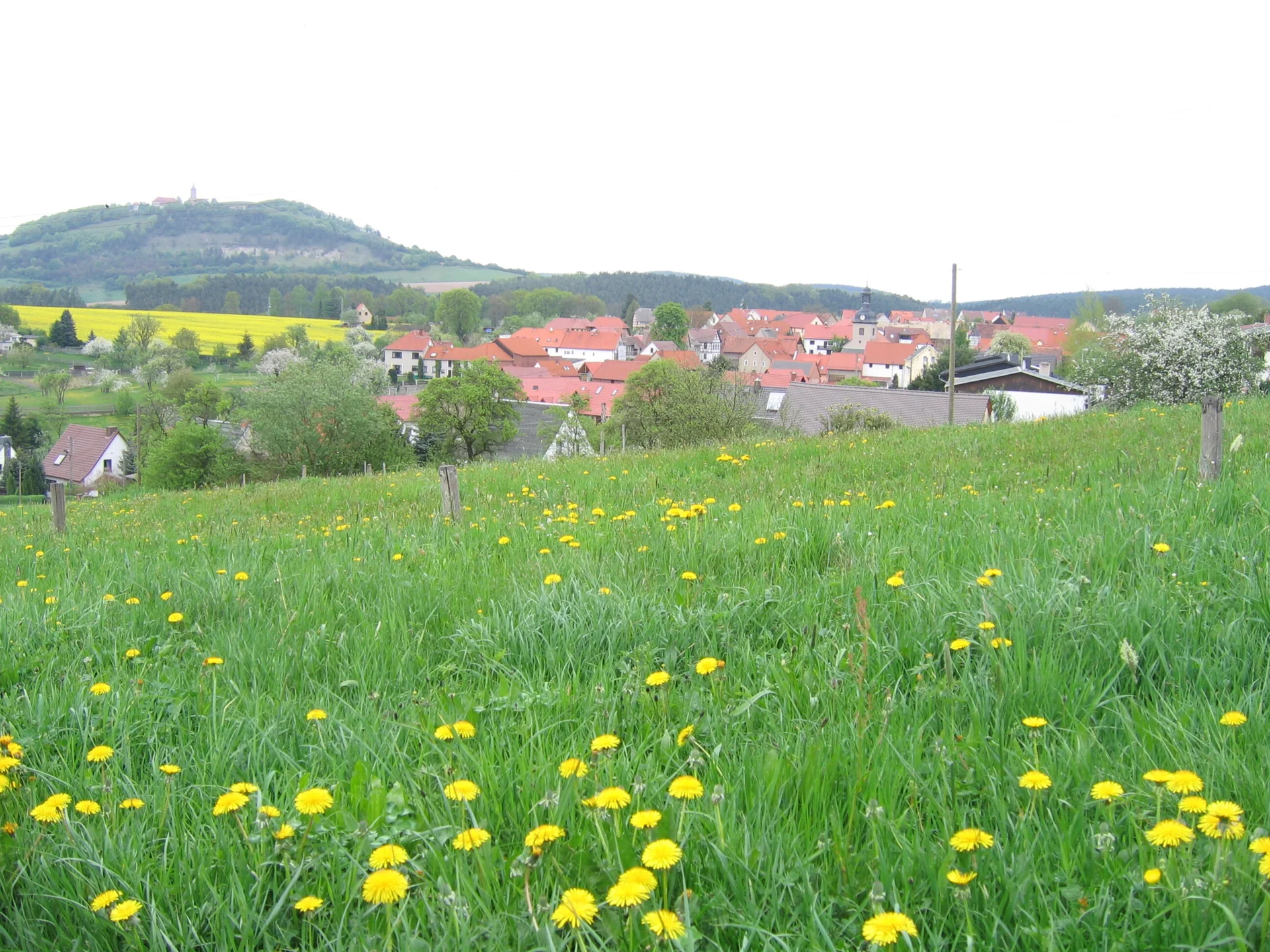 Bild der Galerie