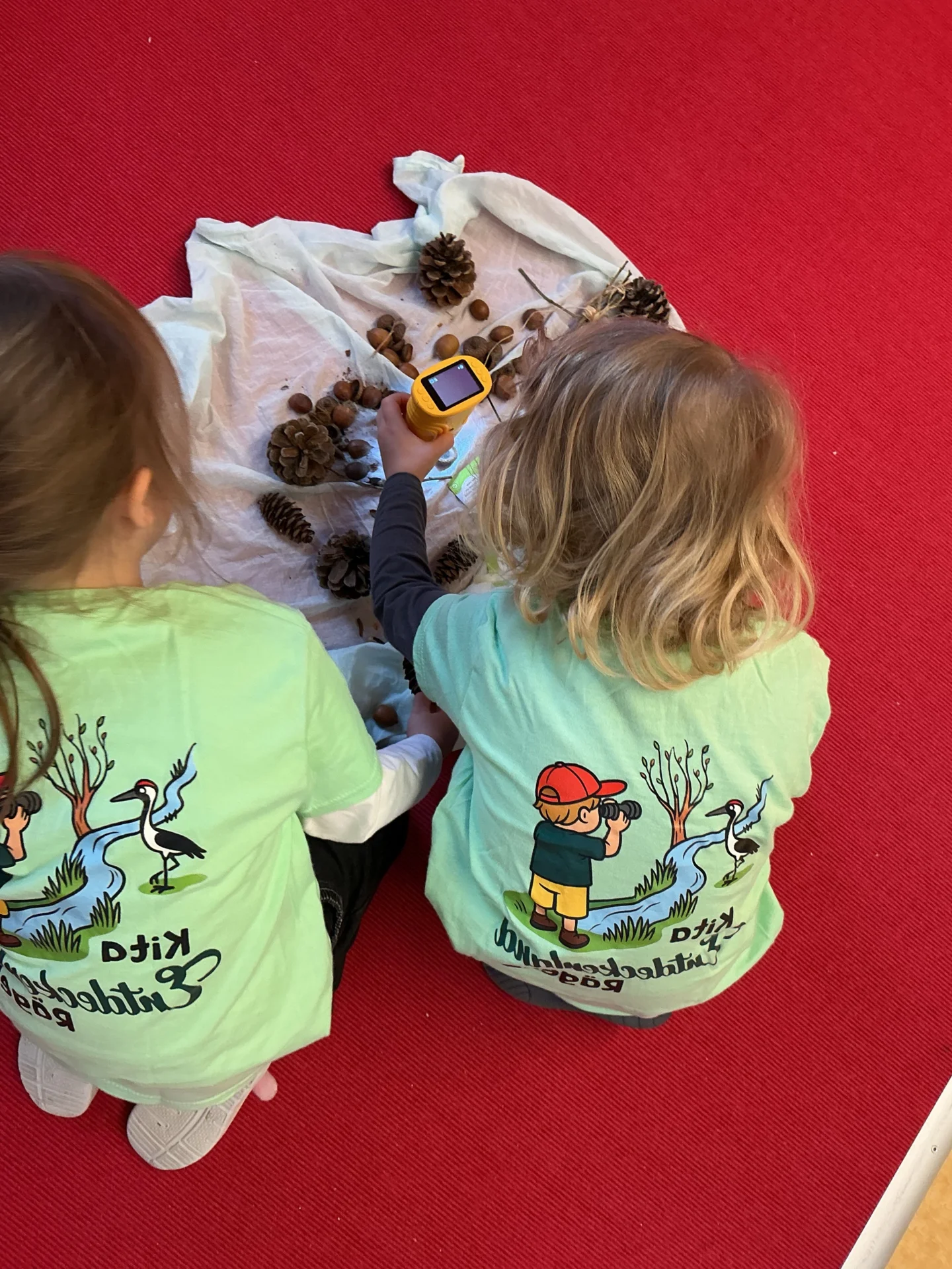 Bild: Kleine Entdecker