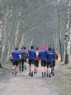Foto des Albums: Iron Outmoor 2026