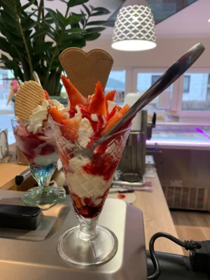 Foto des Albums: Pinguin Eisbar