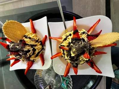 Foto des Albums: Pinguin Eisbar