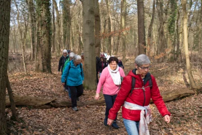 Durch den Misburger Wald  (Bild vergr&ouml;&szlig;ern)