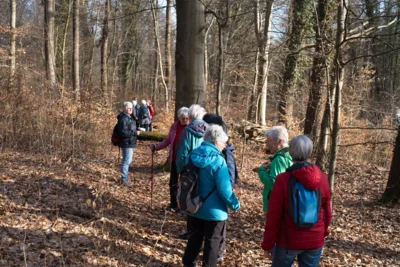 Silver Ager in action  (Bild vergr&ouml;&szlig;ern)
