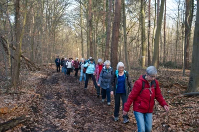 Zur&uuml;ck im Misburger Wald  (Bild vergr&ouml;&szlig;ern)