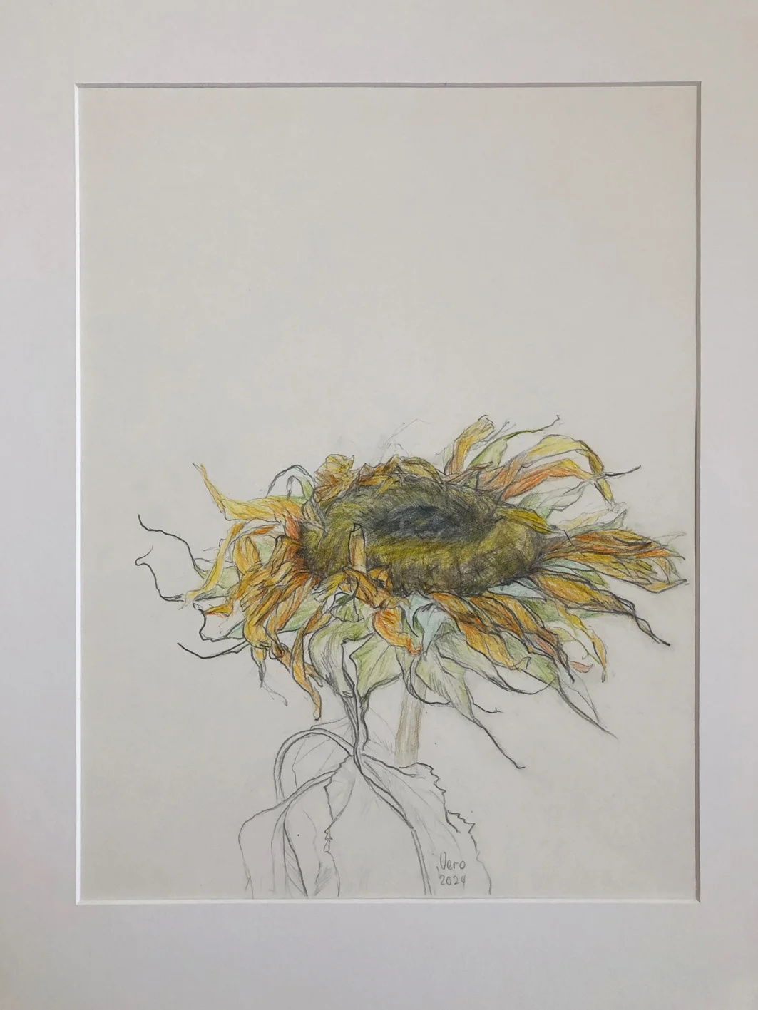 Bild: 2 sorgen, 30x40cm, Blei-und Buntstifte auf Papier, 2024