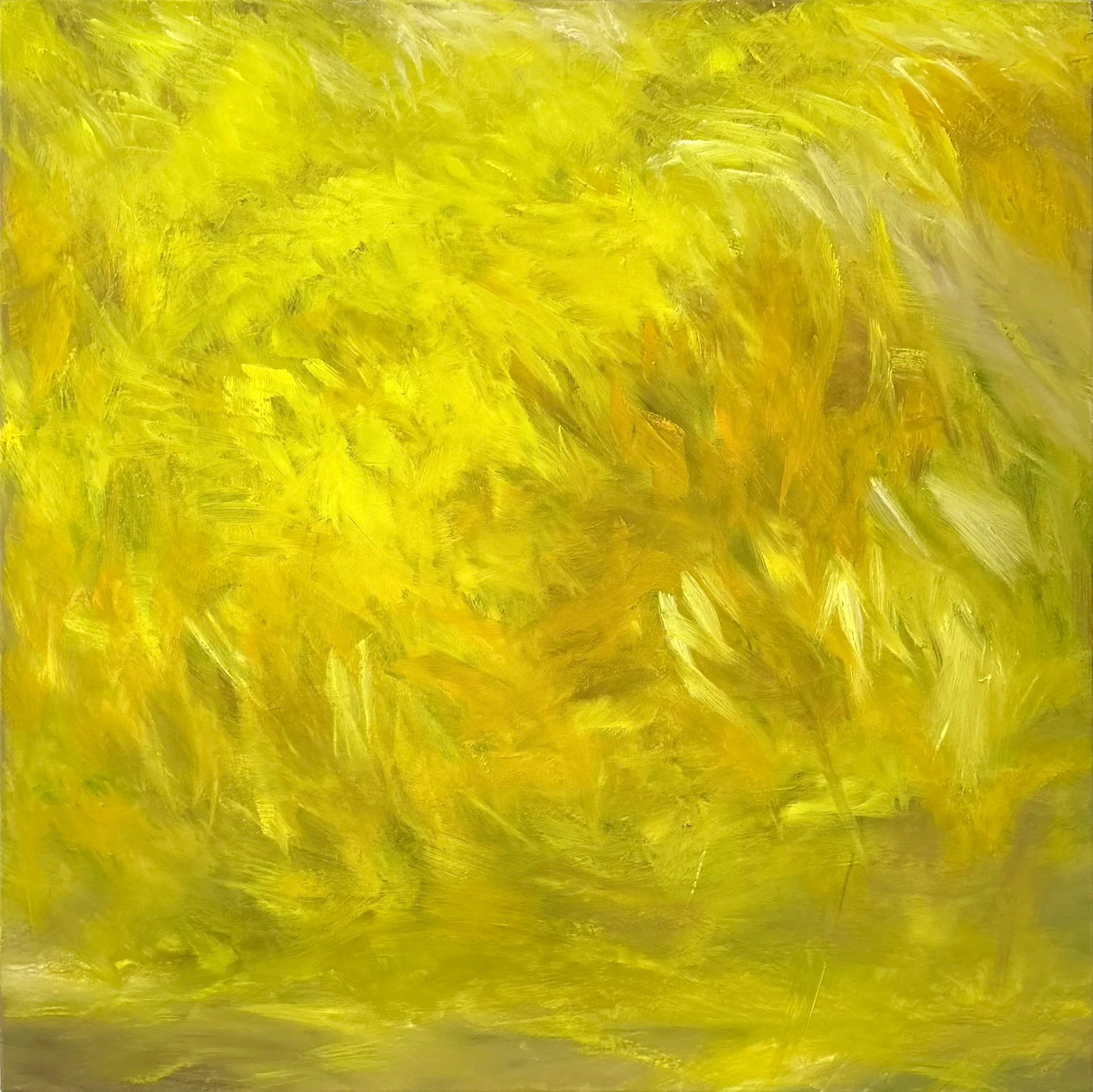 Bild: 3 ohne Titel, 80x80cm, öl auf leinwand, 2025