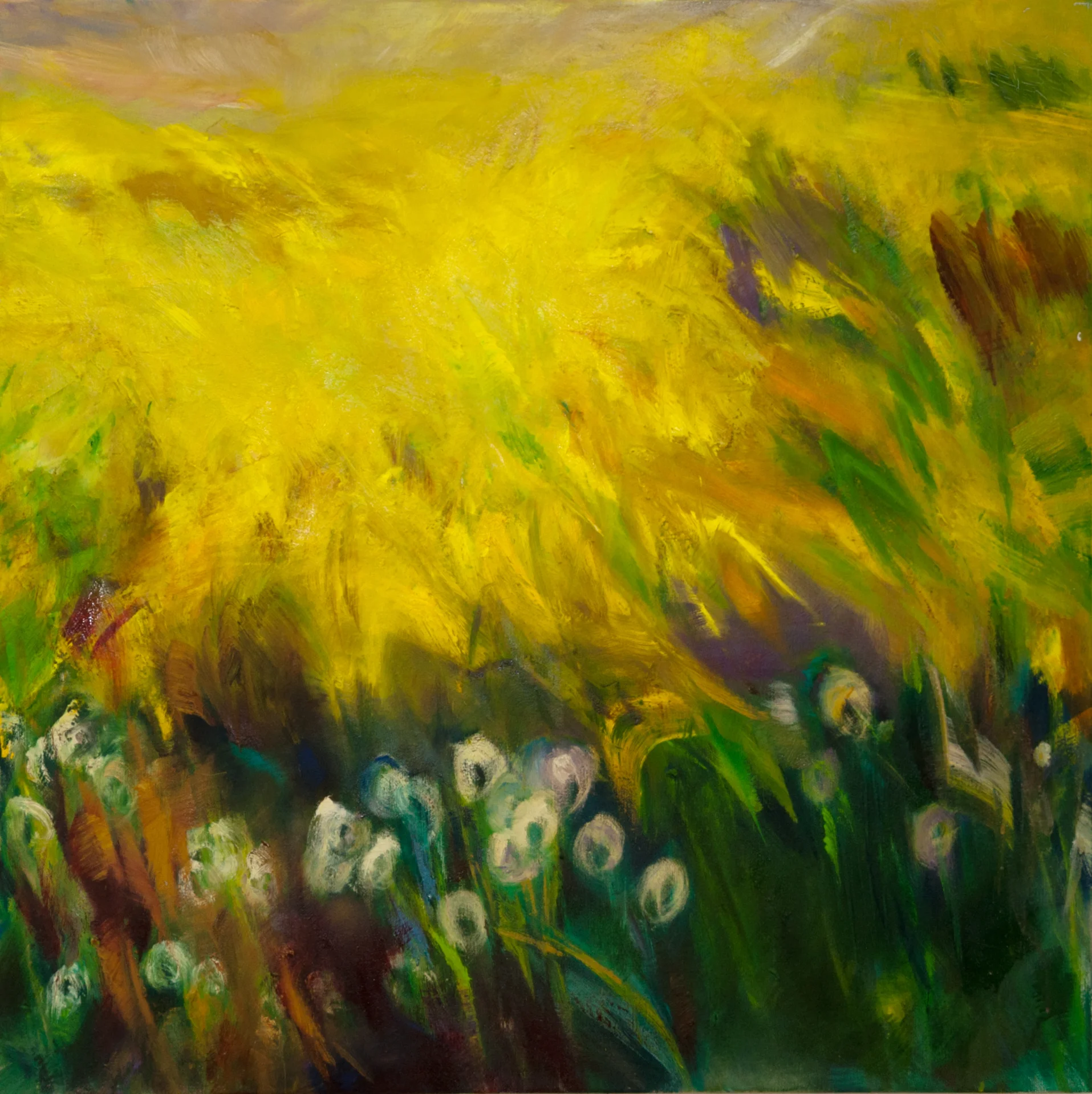 Bild: 4 Rapsfeld, 80x80 cm, Öl auf Leinwand, 2025