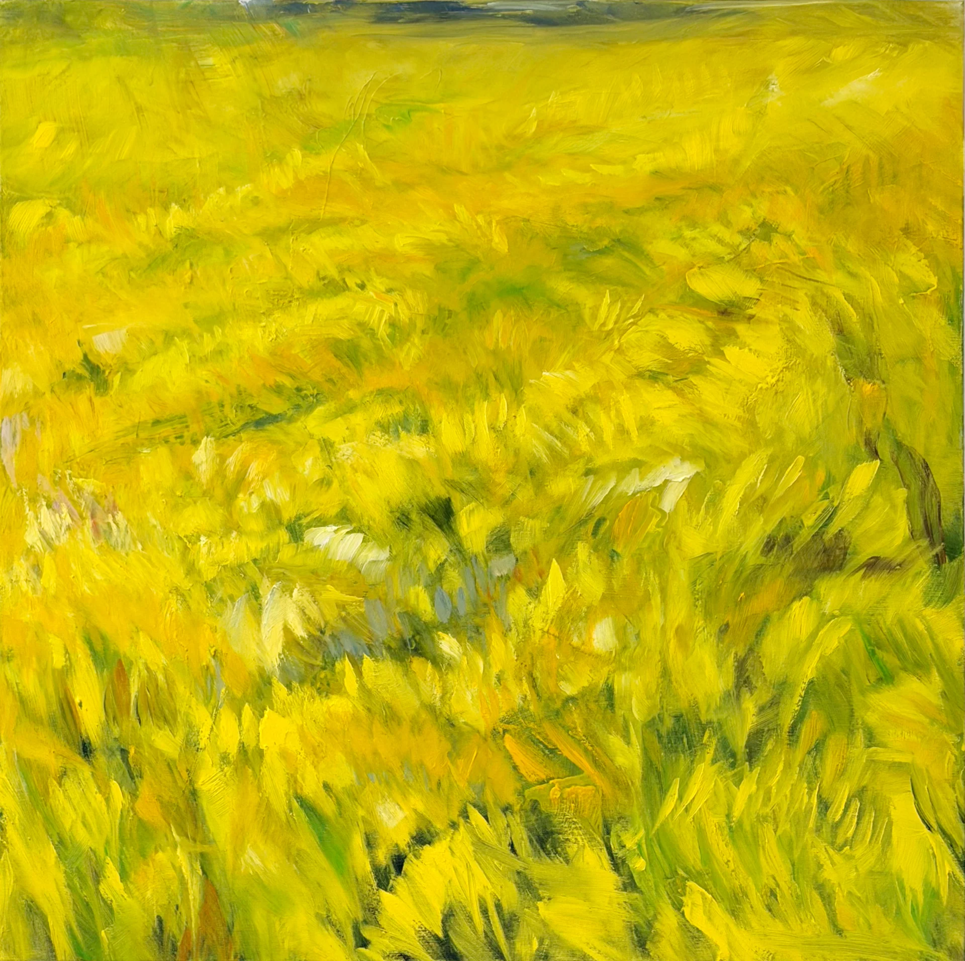 Bild: 5 ohne Titel, 80x80cm, ÖL auf Leinwand , 2025