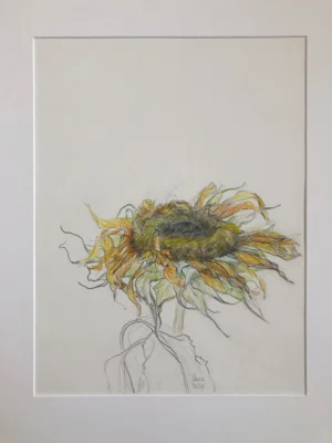 2  sorgen, 30x40cm, Blei-und Buntstifte auf Papier, 2024  (Bild vergr&ouml;&szlig;ern)