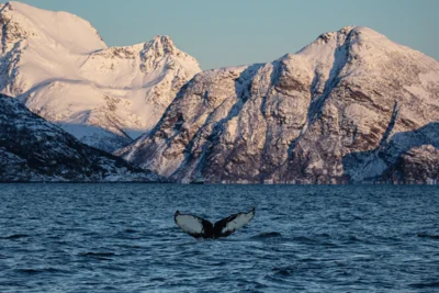 Foto des Albums: Ralf Zaich - Norwegen