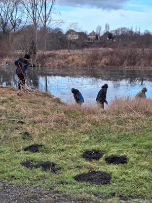 Foto des Albums: Arbeitseinsatz am Saale Altarm am 22.02.2026