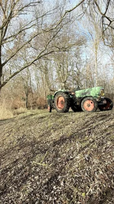 Foto des Albums: Arbeitseinsatz am Saale Altarm am 22.02.2026