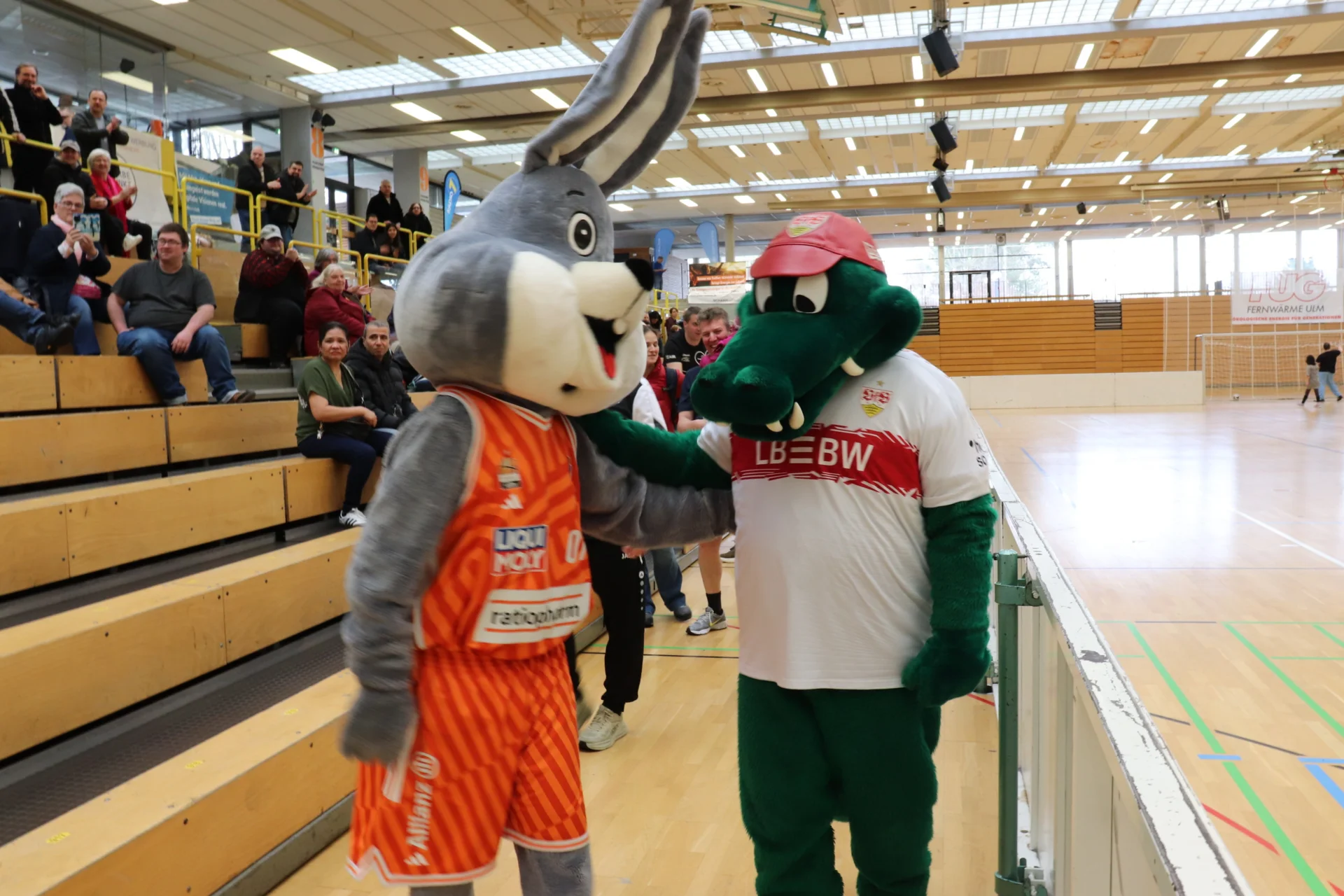 Bild der Galerie