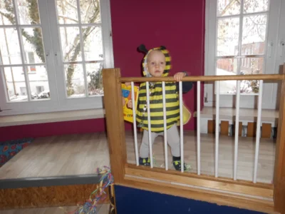 Foto des Albums: Fasching 2026