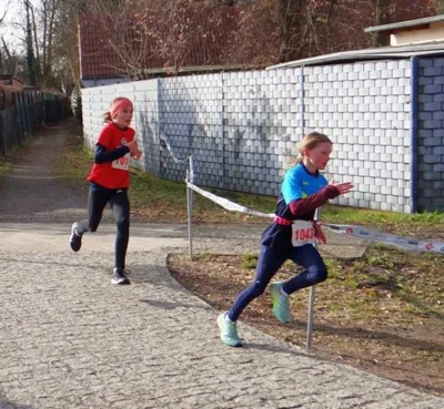 Foto des Albums: Crosslauf_2026_3