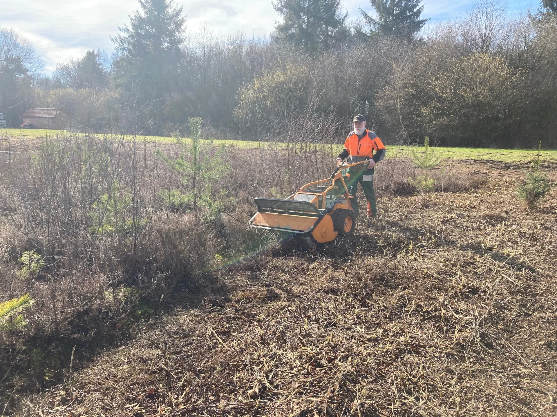 Bild: ... Freistellen der Heide