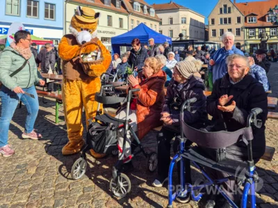 Foto des Albums: Saisonende für den Knieperkohl mit dem Surn-Hansen-Markt