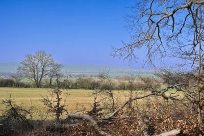 Deisterblick  (Bild vergr&ouml;&szlig;ern)