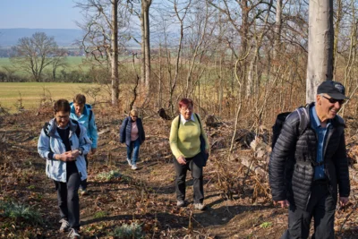 Leichter Anstieg  (Bild vergr&ouml;&szlig;ern)