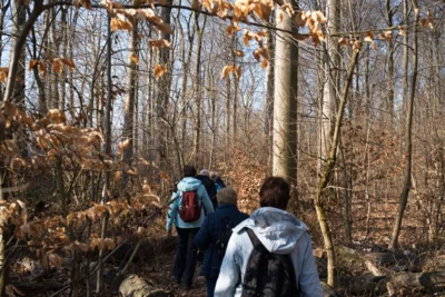 Suerser Berg -1  (Bild vergr&ouml;&szlig;ern)