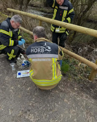 Foto des Albums: Einsatz 039/2026