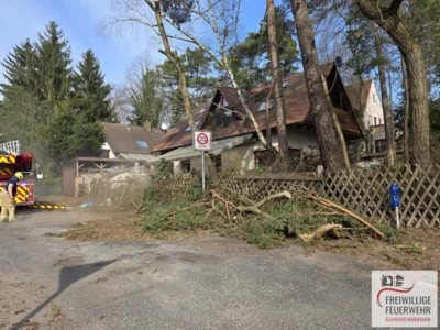 Foto des Albums: Einsatz Nr.:37/2026 H:klein