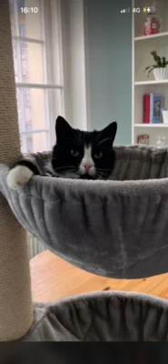 Foto des Albums: Kater Camaro