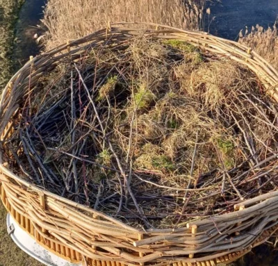 Foto des Albums: Neues Storchennest in Neuendorf