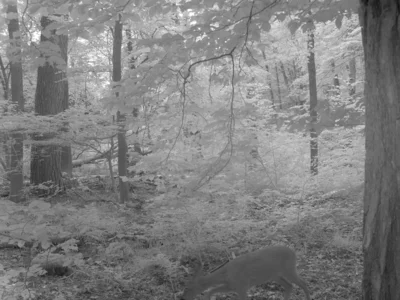 Foto des Albums: Trinkwasserstellen für Wildtiere