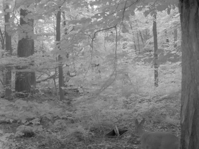 Foto des Albums: Trinkwasserstellen für Wildtiere