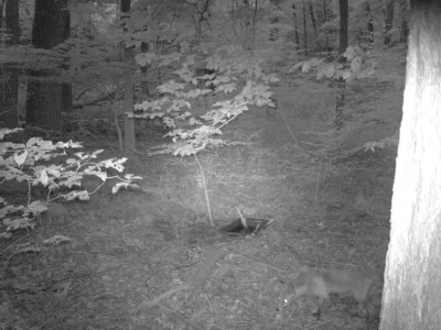 Foto des Albums: Trinkwasserstellen für Wildtiere