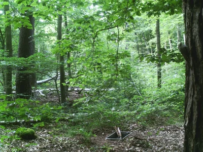 Foto des Albums: Trinkwasserstellen für Wildtiere