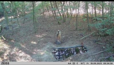 Foto des Albums: Trinkwasserstellen für Wildtiere