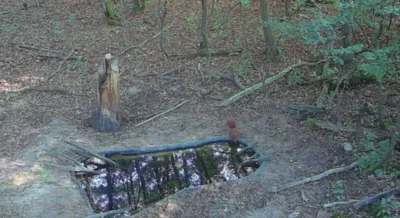 Foto des Albums: Trinkwasserstellen für Wildtiere