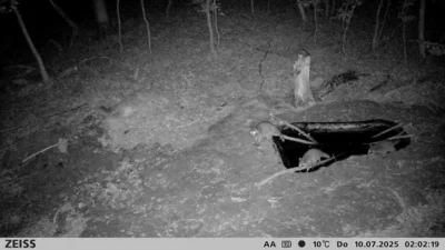 Foto des Albums: Trinkwasserstellen für Wildtiere