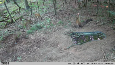 Foto des Albums: Trinkwasserstellen für Wildtiere